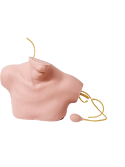 CENTRAL VENOUS CATHETERIZATION SIMULATOR 